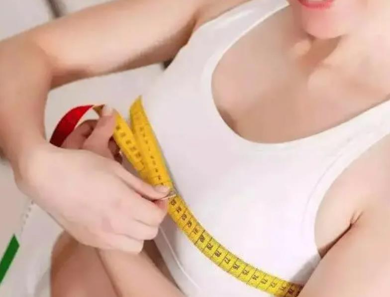人类乳房的进化过程