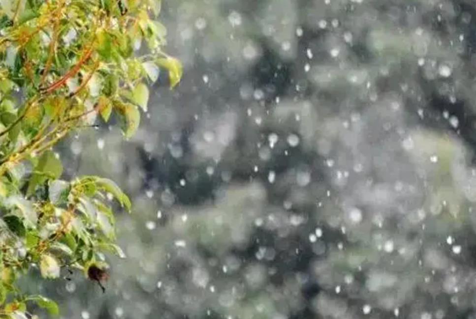 小雪下雨有什么说法，小雪不宜吃什么