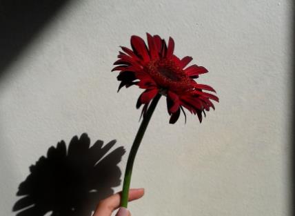 异性肢体接触你的表现，女人肢体接触心理学