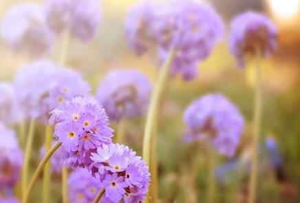 女人能忍多久不与异性联系