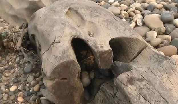 乌木价格多少钱一斤,1公斤乌木价格表