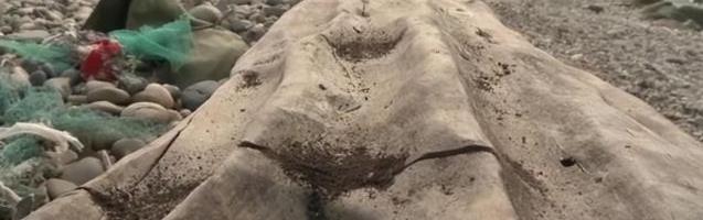 乌木价格多少钱一斤,1公斤乌木价格表