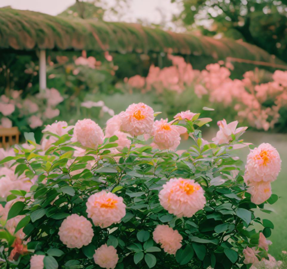 60岁丧妻男人心理,六十岁丧偶男人找老伴的利弊