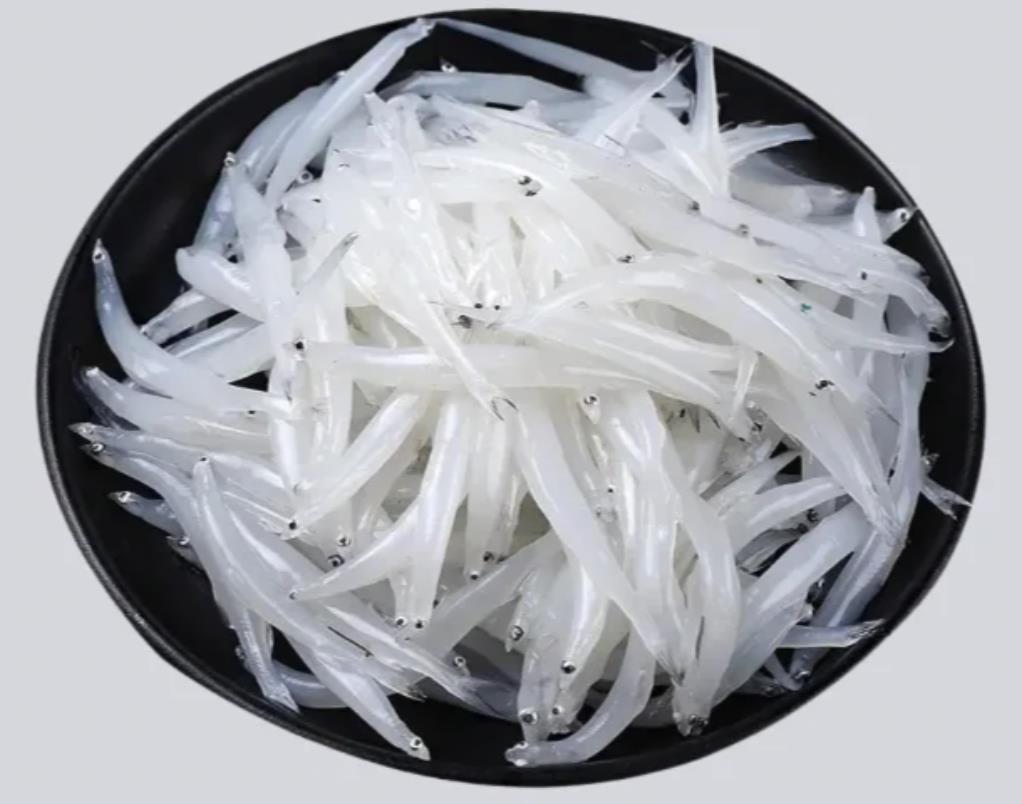 透明的鱼叫什么鱼