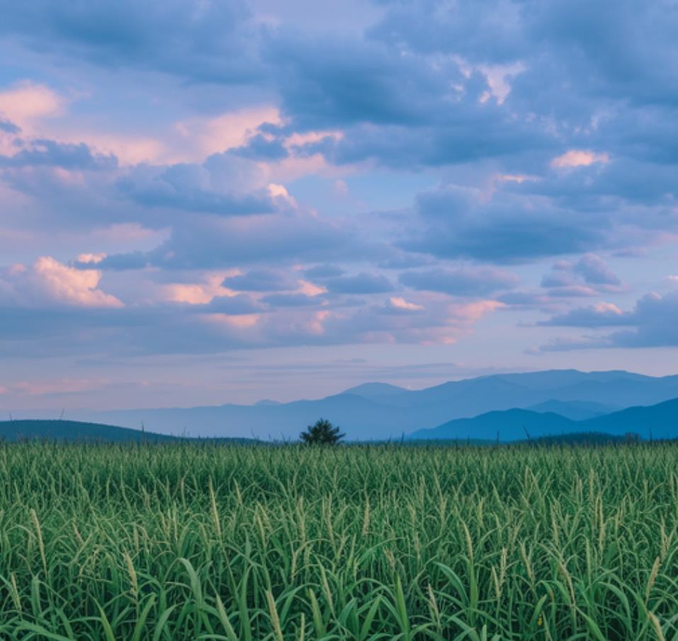 朋友圈高质量句子