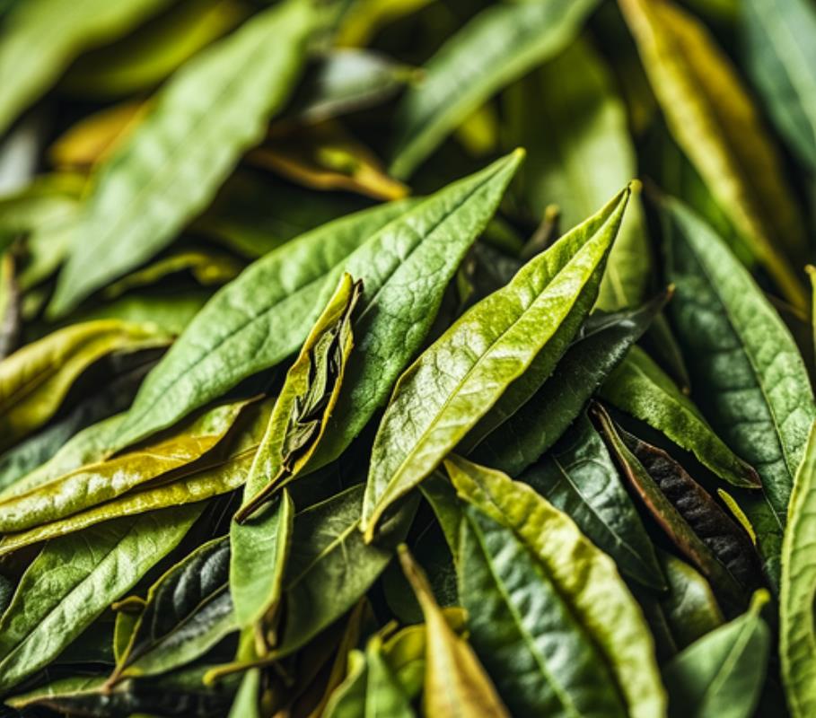 茶叶为啥不宜送人