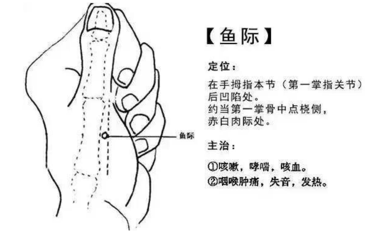 鱼际穴的准确位置图，你找对了吗？
