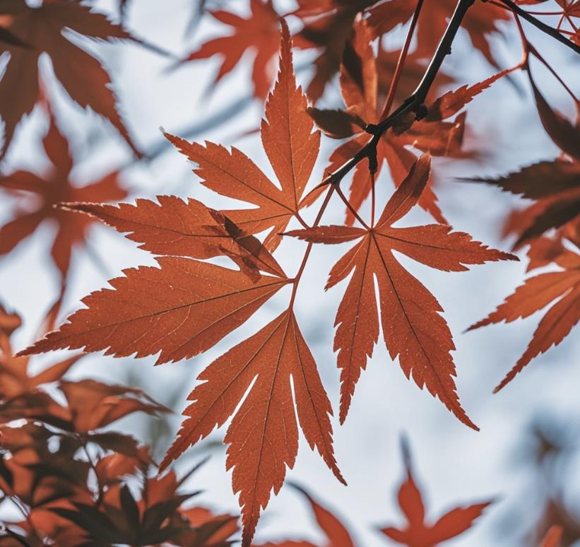 老人临终为什么不能喝水