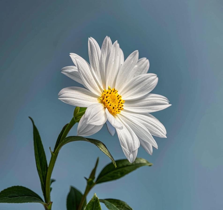 5代人辈分称呼大全,辈分称呼一览表