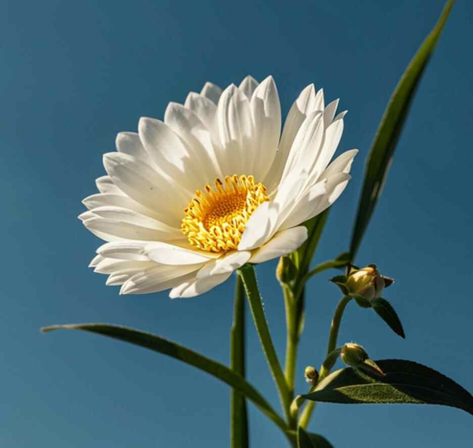 千万别碰五十岁老男人