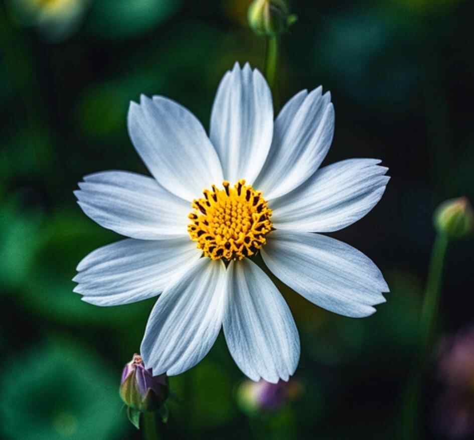 五种亲戚不来往