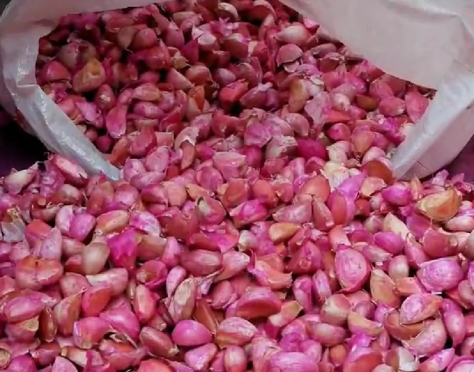 大蒜拌种配方大全