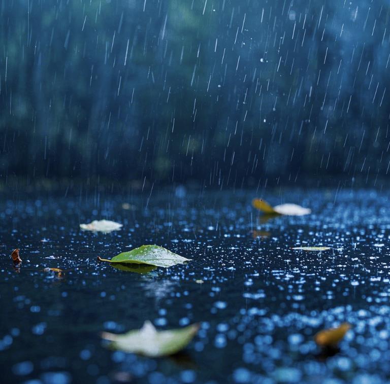 喜欢下雨的人是什么性格
