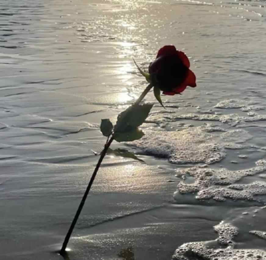 男人和女人离婚后最大区别是什么