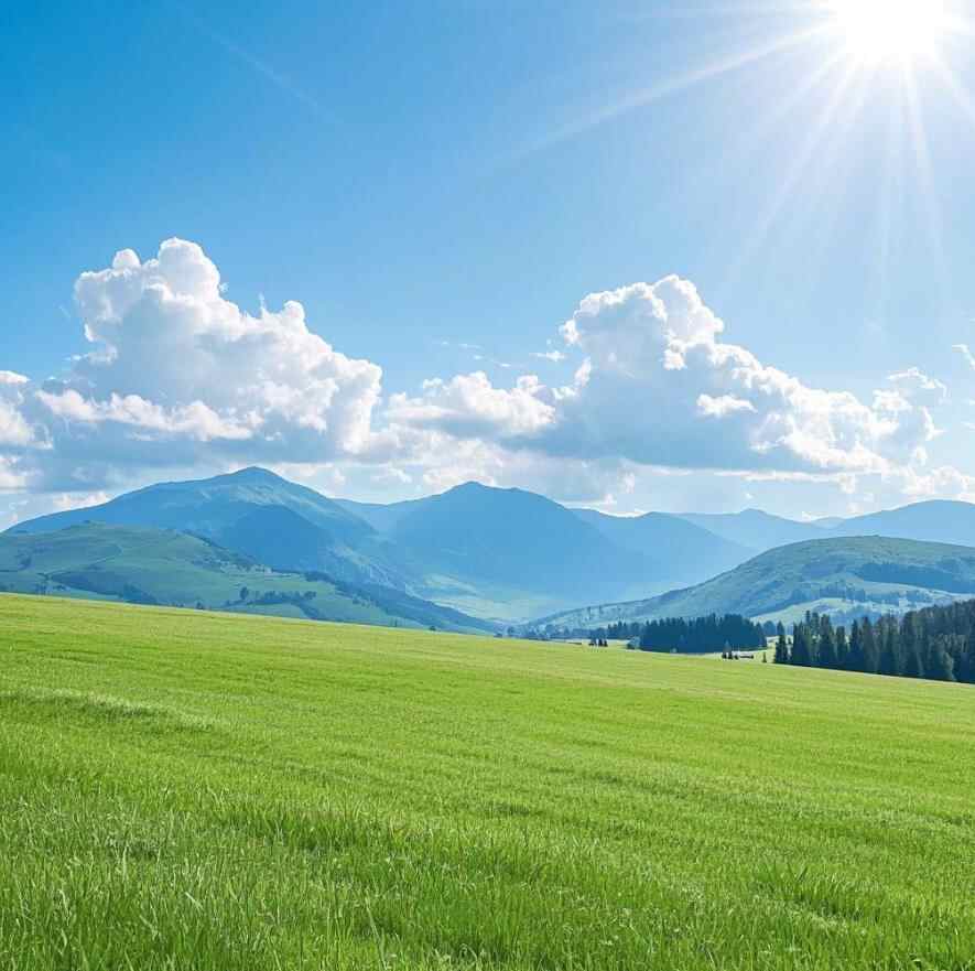 哪些自以为聪明其实愚蠢的行为