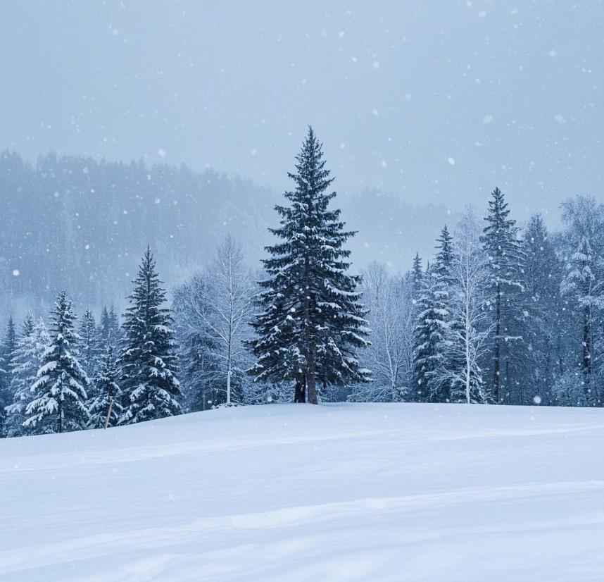 大雪不宜吃三样东西