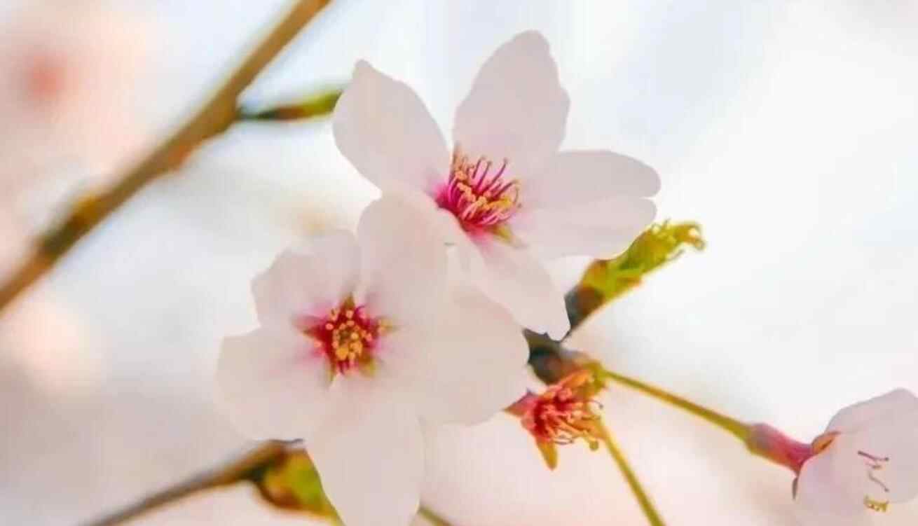 亲戚看不起你还有必要来往吗