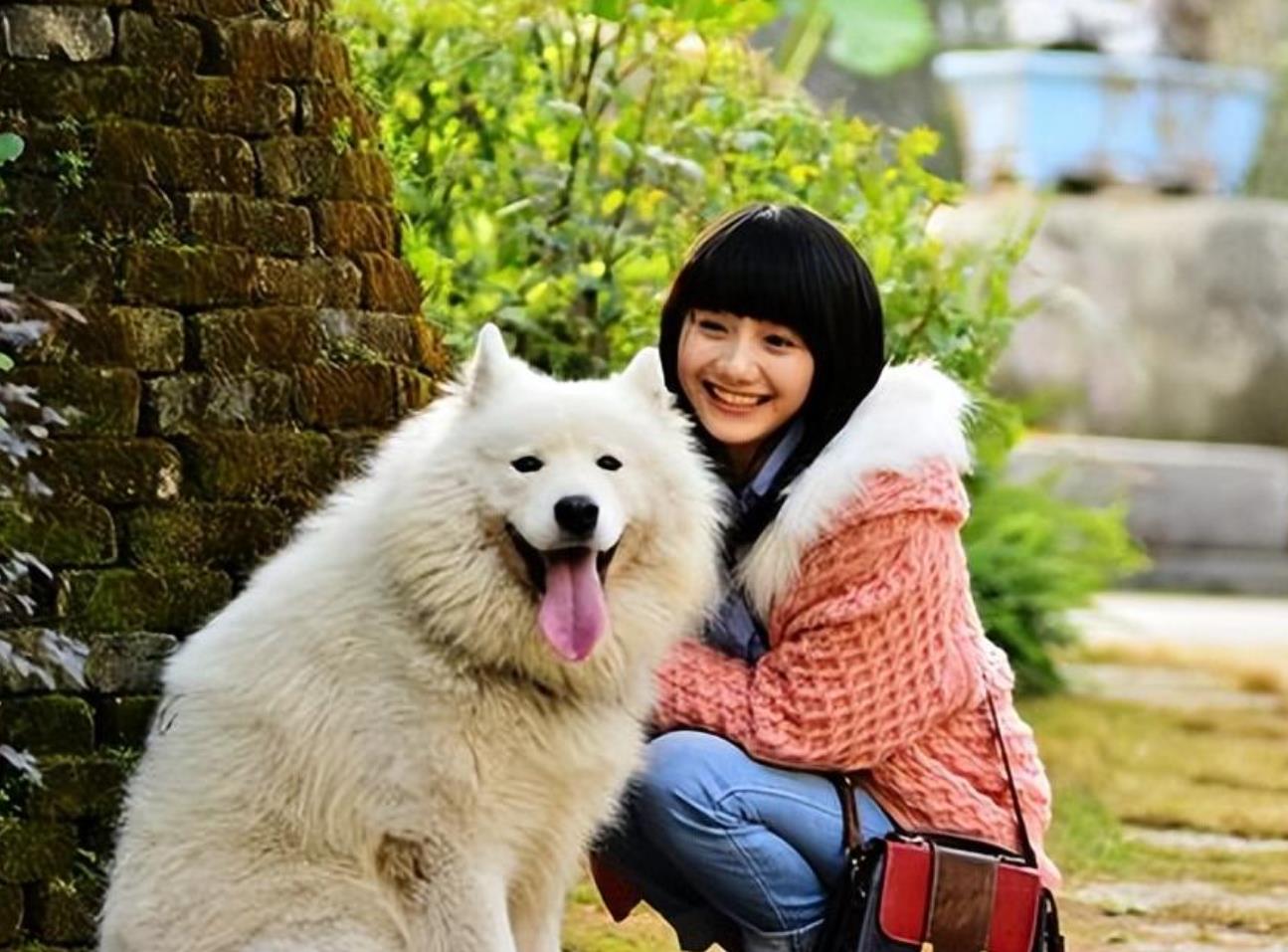 大型犬适合女孩子养吗