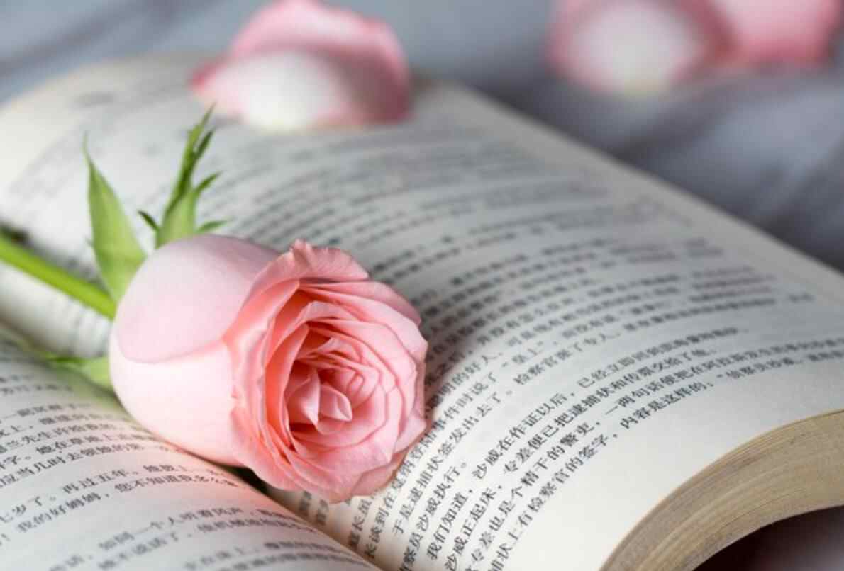 女人说朝花夕拾暗示了什么