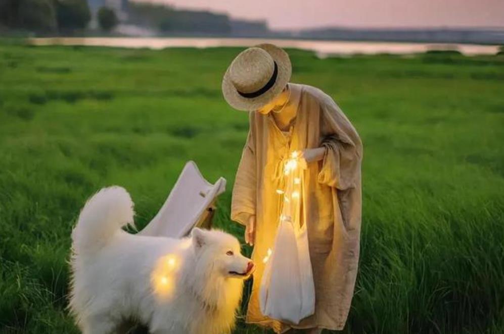 夫妻缘尽会有哪些征兆