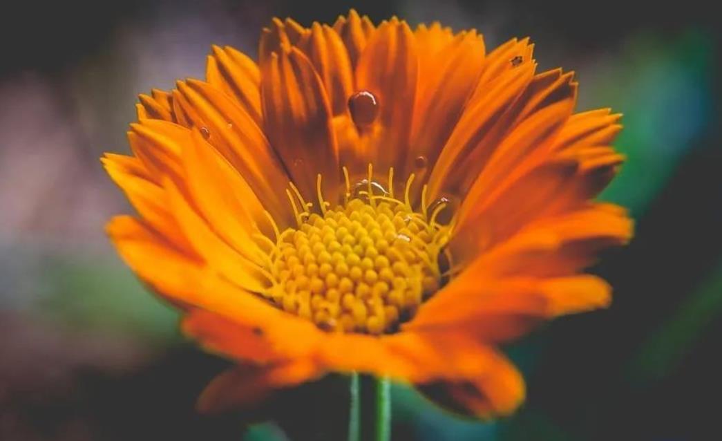 情人缘尽三个征兆