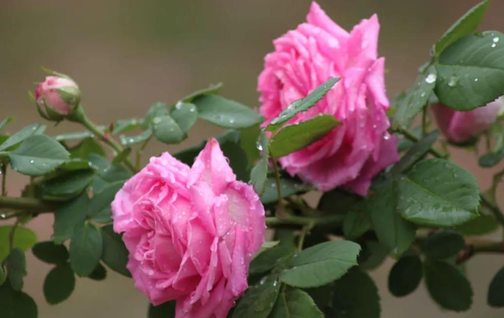 情人缘尽三个征兆