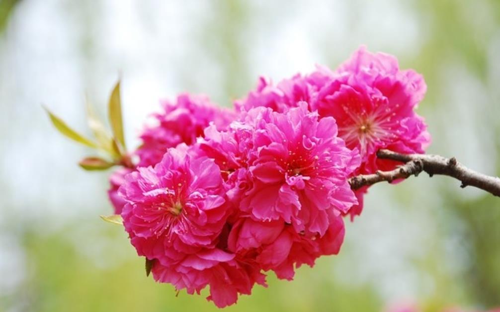 夫妻关系再好也不要帮对方做的事有哪些