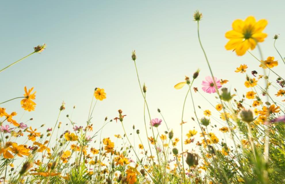 亲吻抚摸对情感的影响