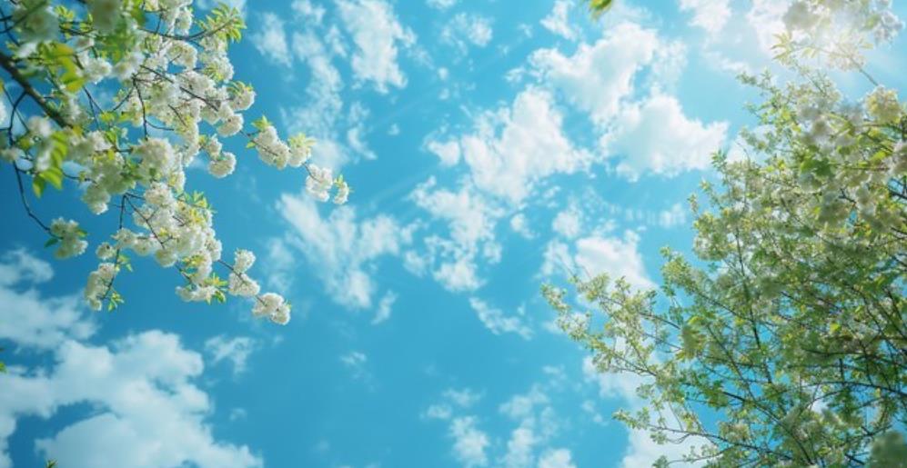 真正爱过的两个人分开以后是怎样的