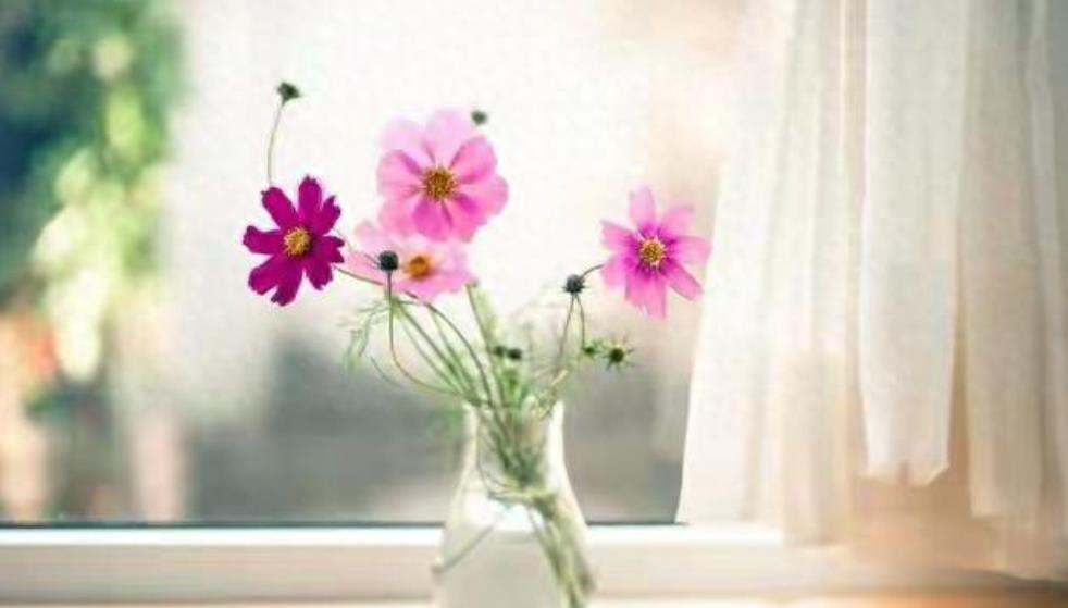 初次与五十岁女人约会送什么礼物