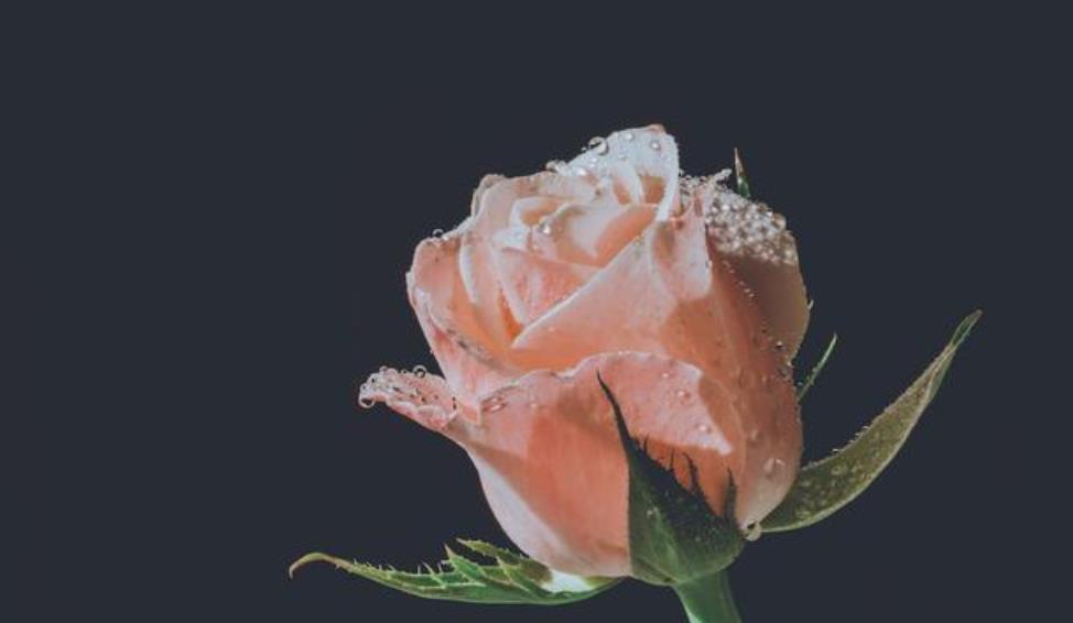 女人不联系不拉黑的原因