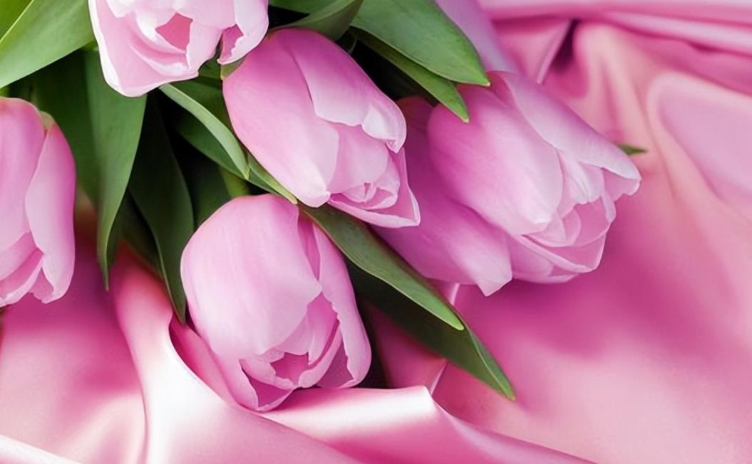 情人每次在我快放弃时又来联系我什么意思