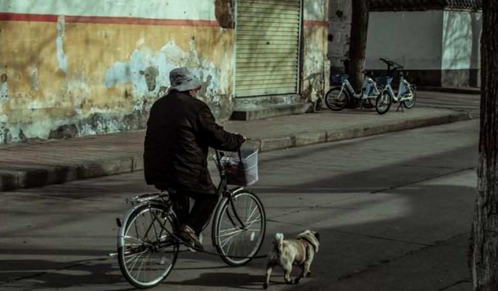 老人老了为什么折磨儿女