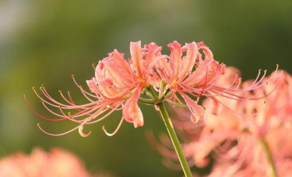 男人删除拉黑后放不下的表现有哪些