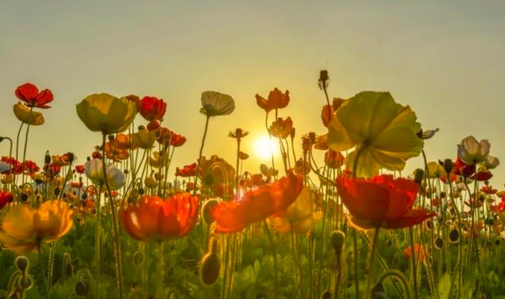 心眼坏的人多半有哪些特征