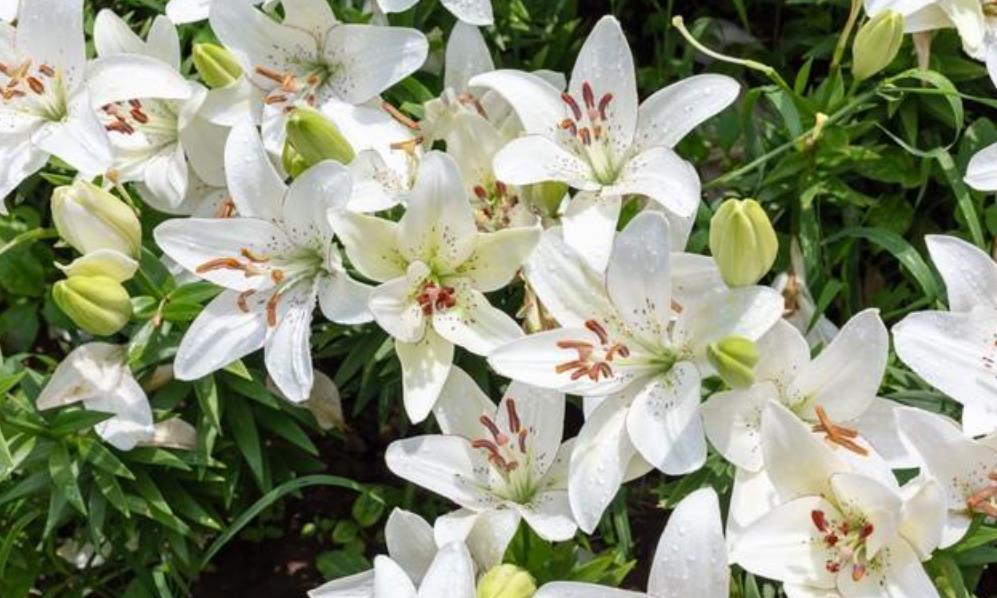 心眼坏的人多半有哪些特征