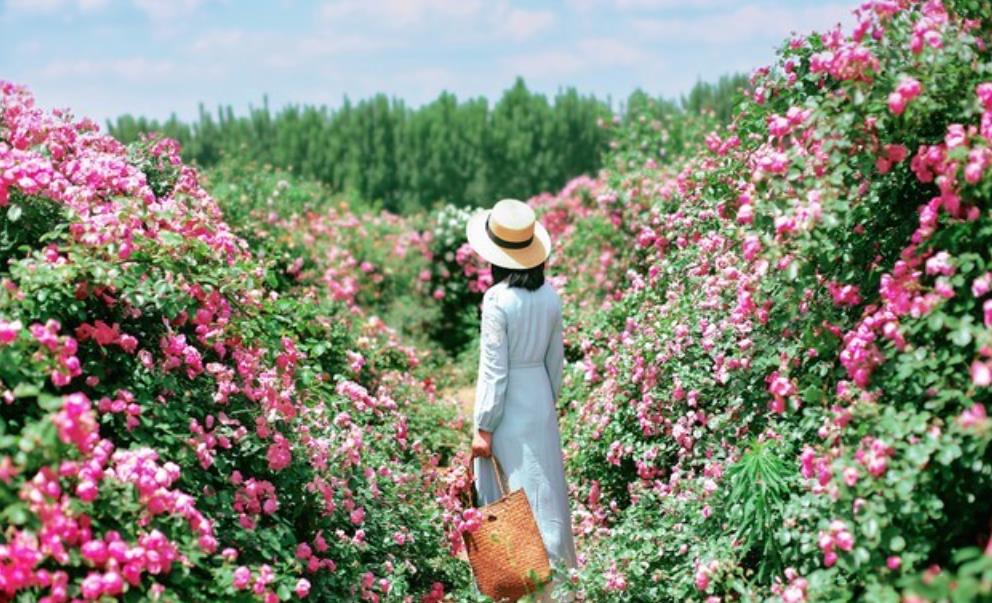 女人越是绝情越容易挽回吗