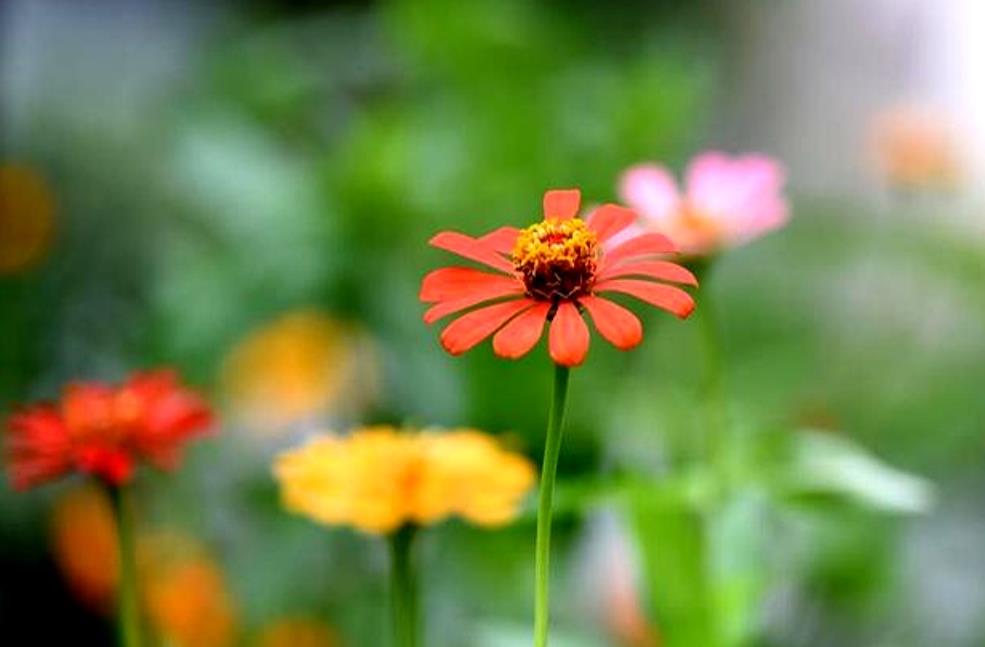 婆婆过度关心让我反感怎么办