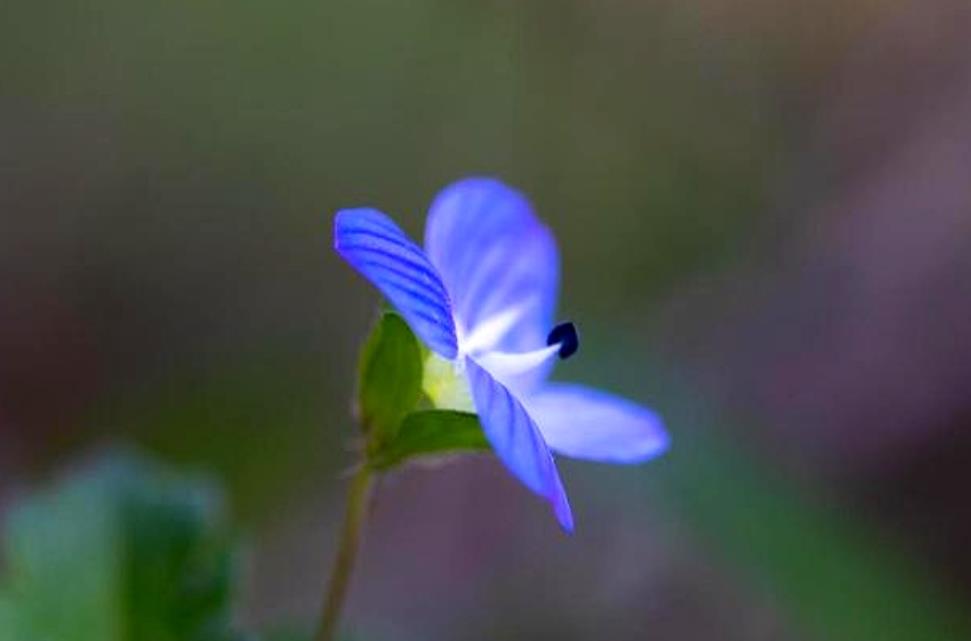 婆婆过度关心让我反感怎么办
