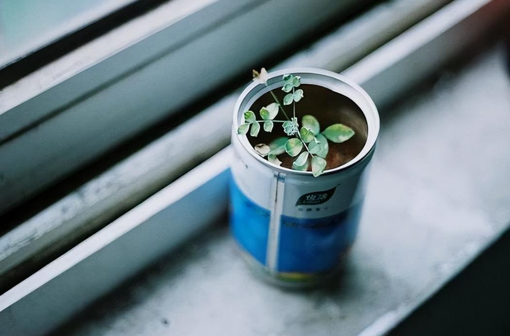 男人真心爱过一个人断联后会怎样