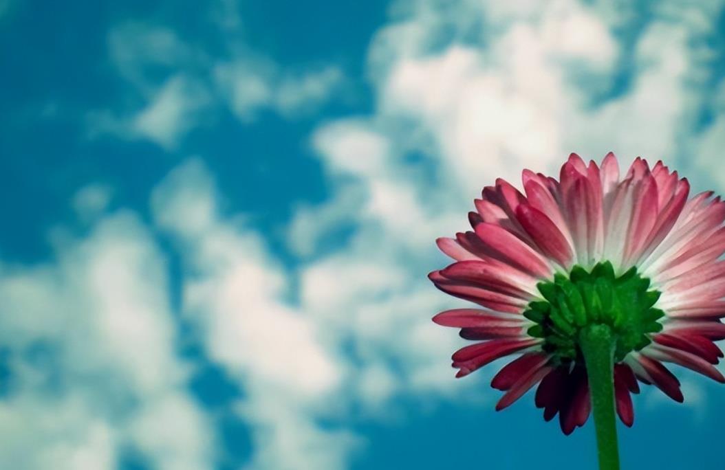 男人真心爱过一个人断联后会怎样