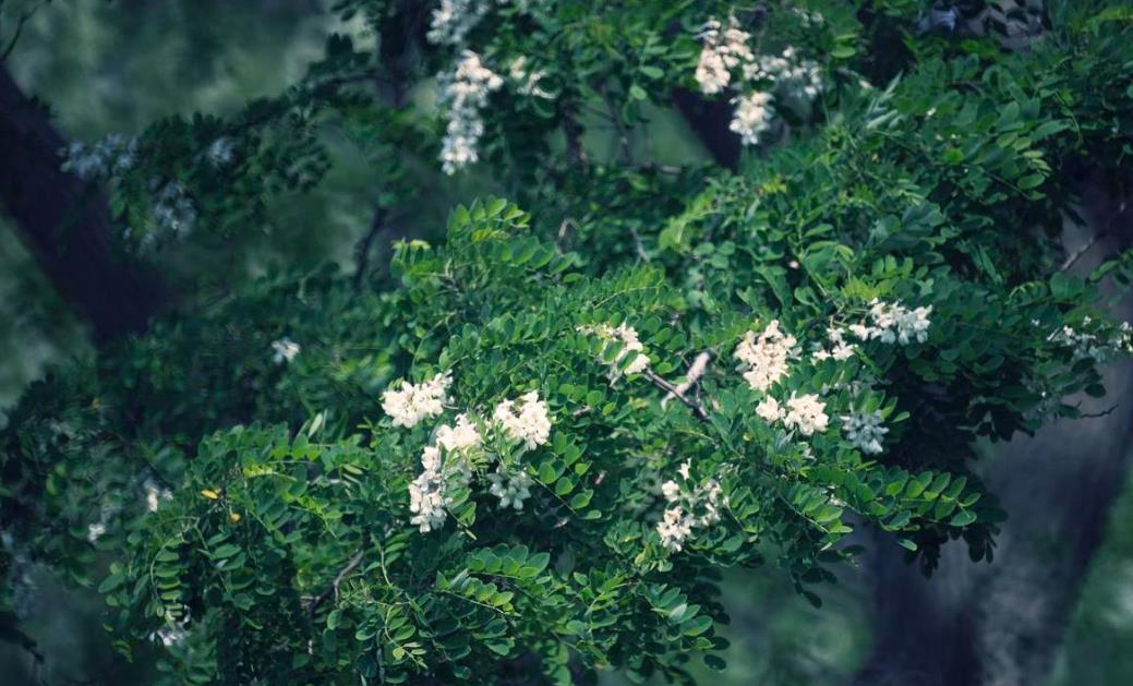 老人去世门口挂红布是什么意思