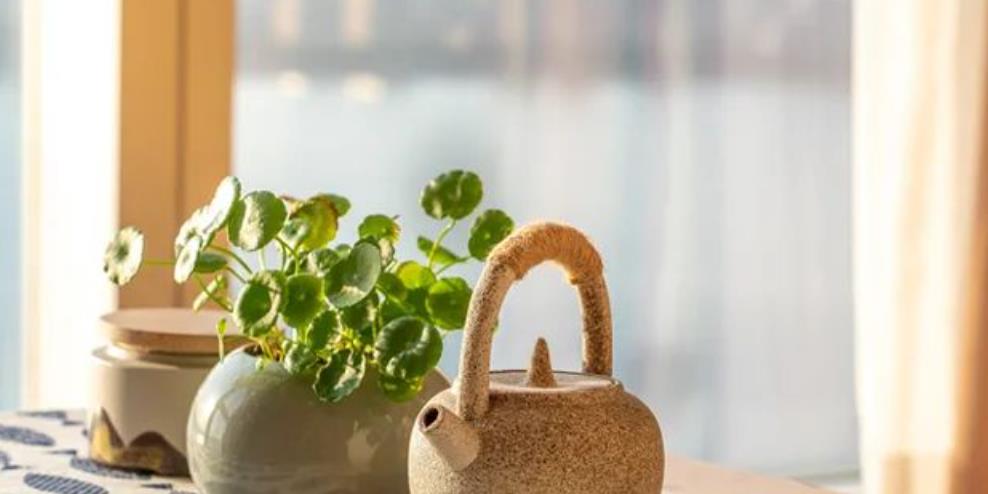 和亲家往来有哪些事不能做