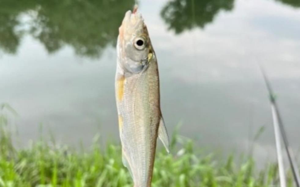 为什么多数女性不喜欢钓鱼