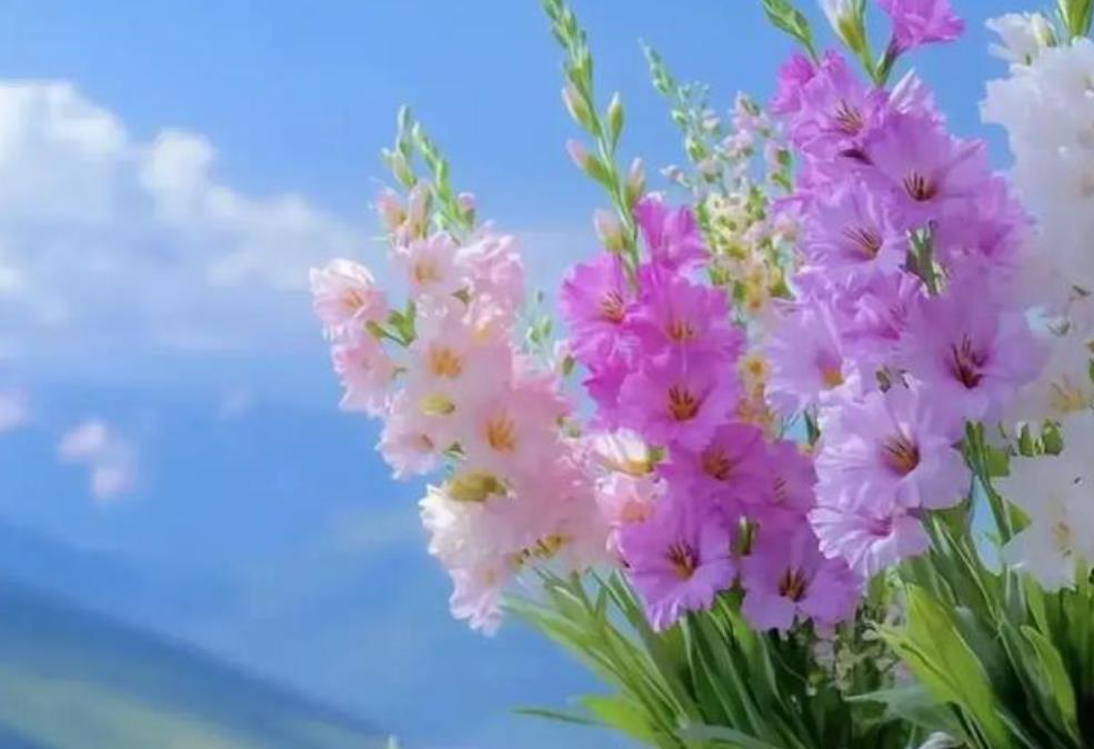 控制欲强的岳母咋相处