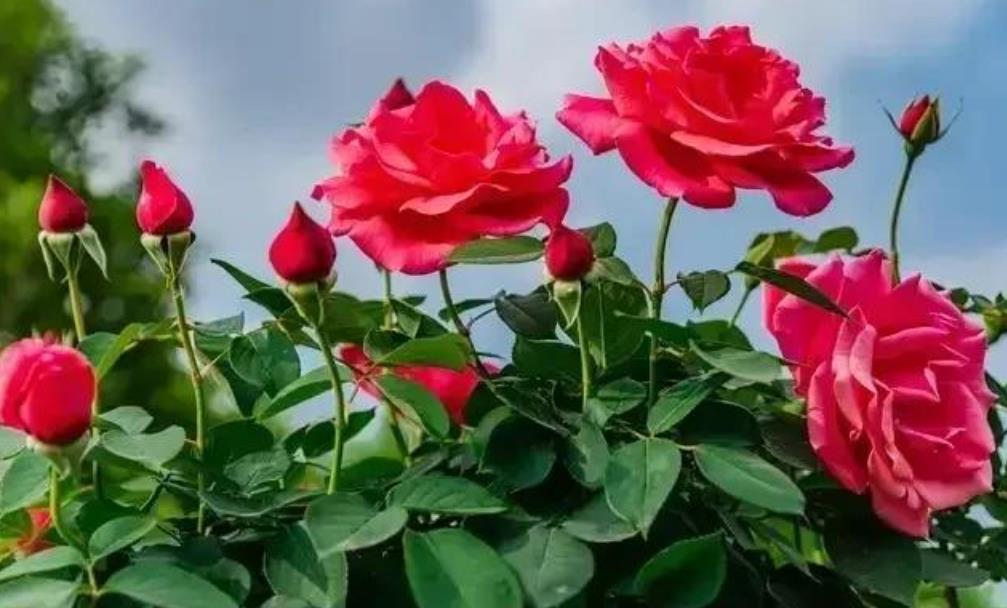 过了60岁哪4种人不要交往