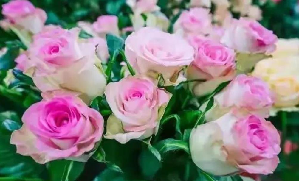 过了60岁哪4种人不要交往