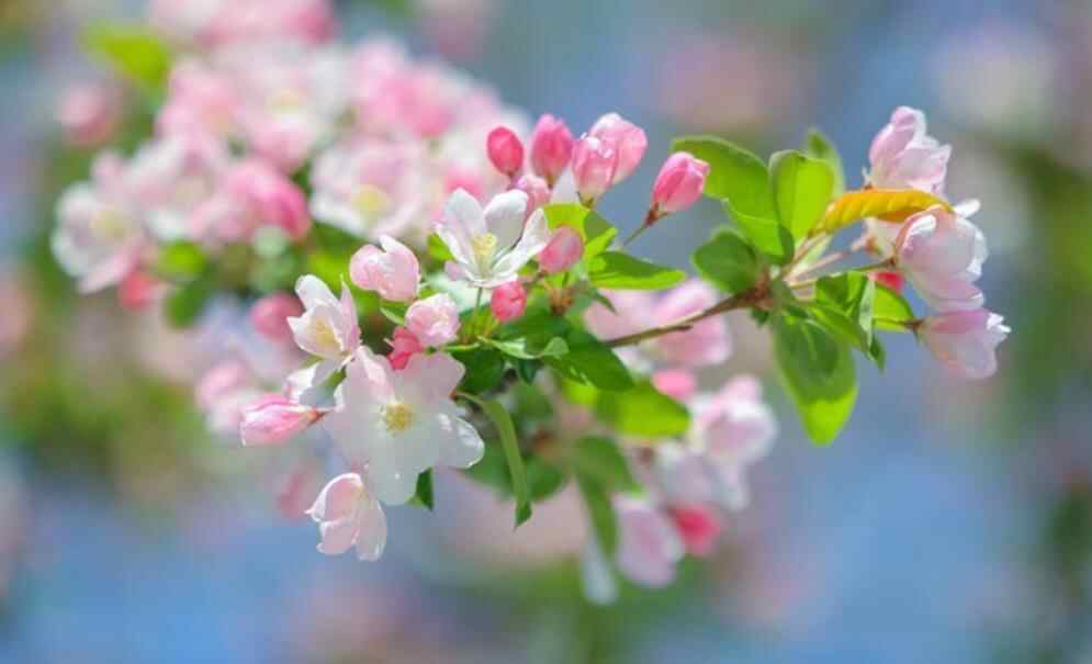 为什么人老了就要分床睡