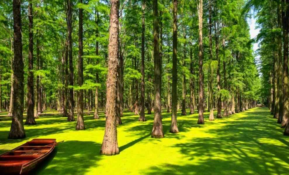 亲人不尊重你怎么办