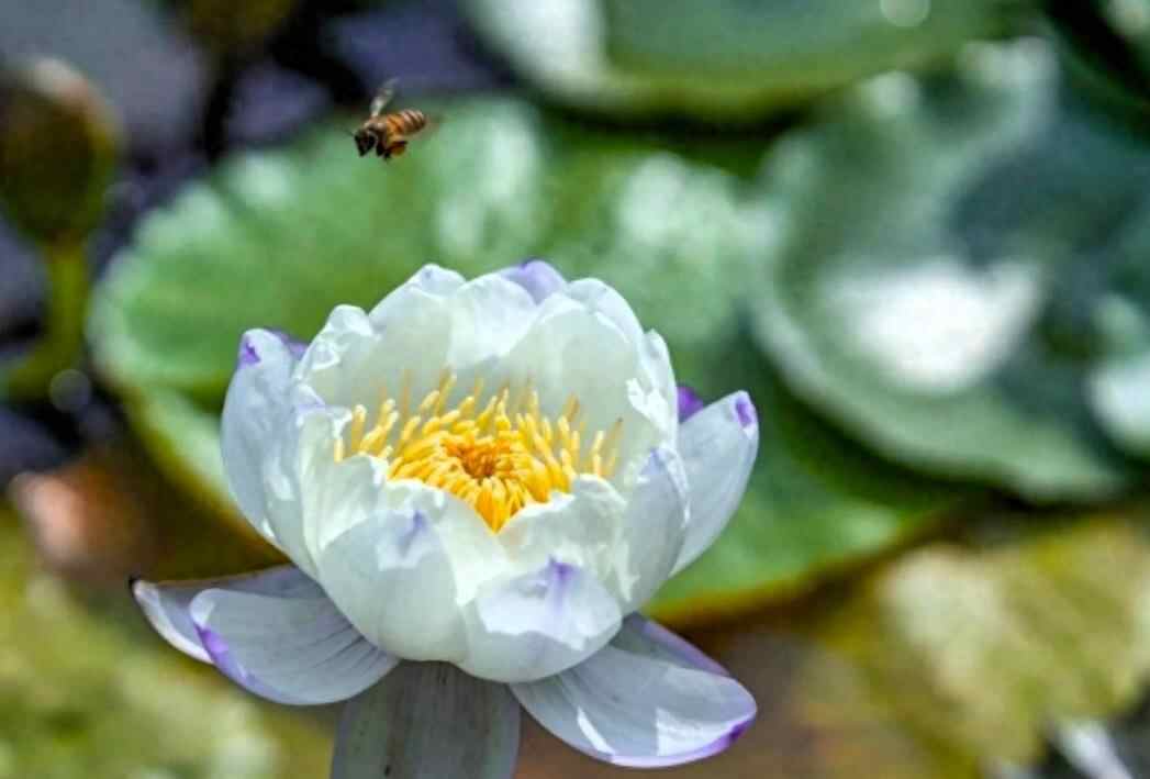 真正能扛住大财的人都有哪些特征